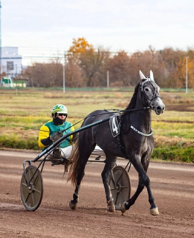Фото поста канала ГородОК Жуковский Раменское