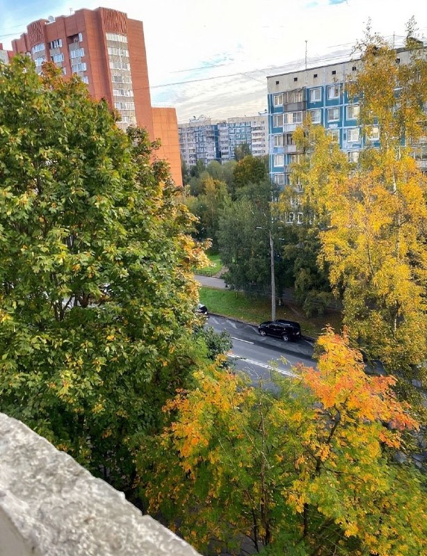 Фото поста канала  Эхо Севера