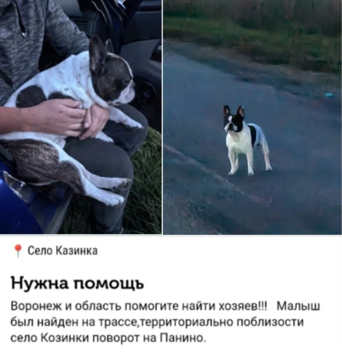 Фото поста канала  Воронеж VRN ️