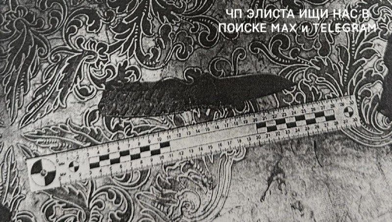 Фото поста канала  Чп Элиста / Калмыкия новости