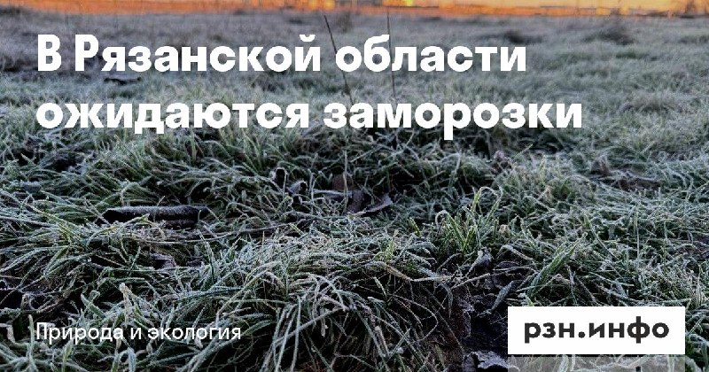 Фото поста канала  Новости Рязани • РЗН.инфо