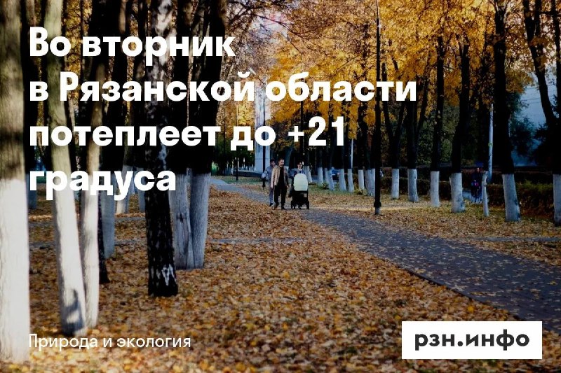 Фото поста канала  Новости Рязани • РЗН.инфо