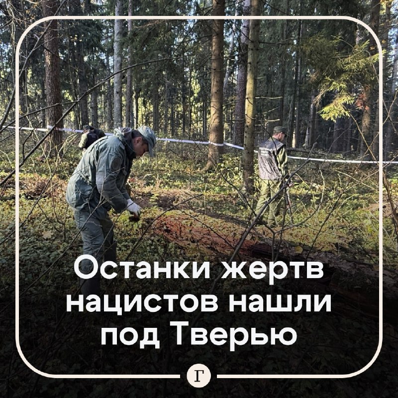 Фото поста канала  Газета.Ru