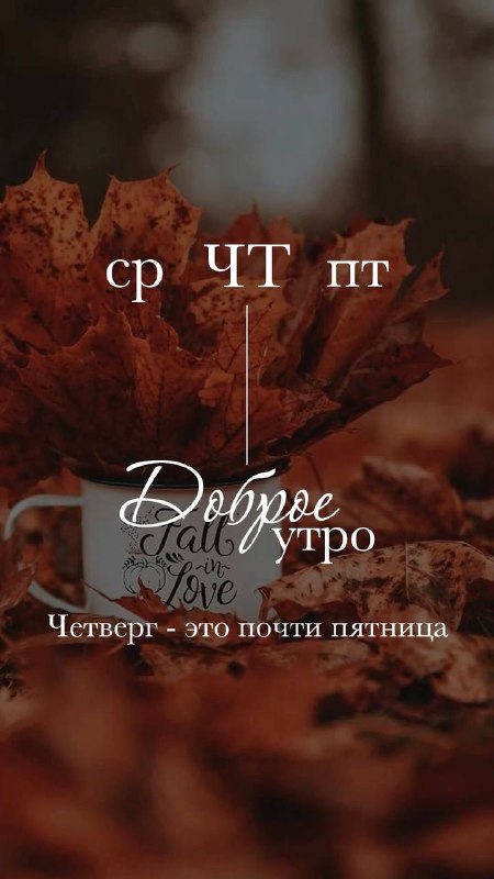 Фото поста канала  Волгоград
