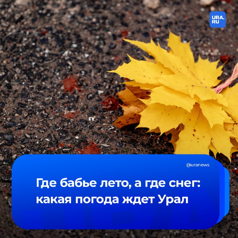 Фото поста канала  URA.RU