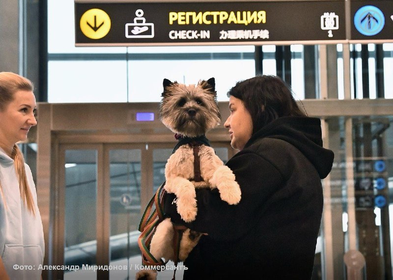 Фото поста канала  Мониторинг 66 Свердловская область