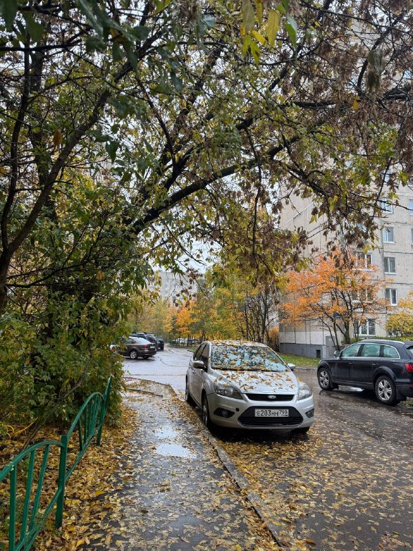 Фото поста канала  Балашухер