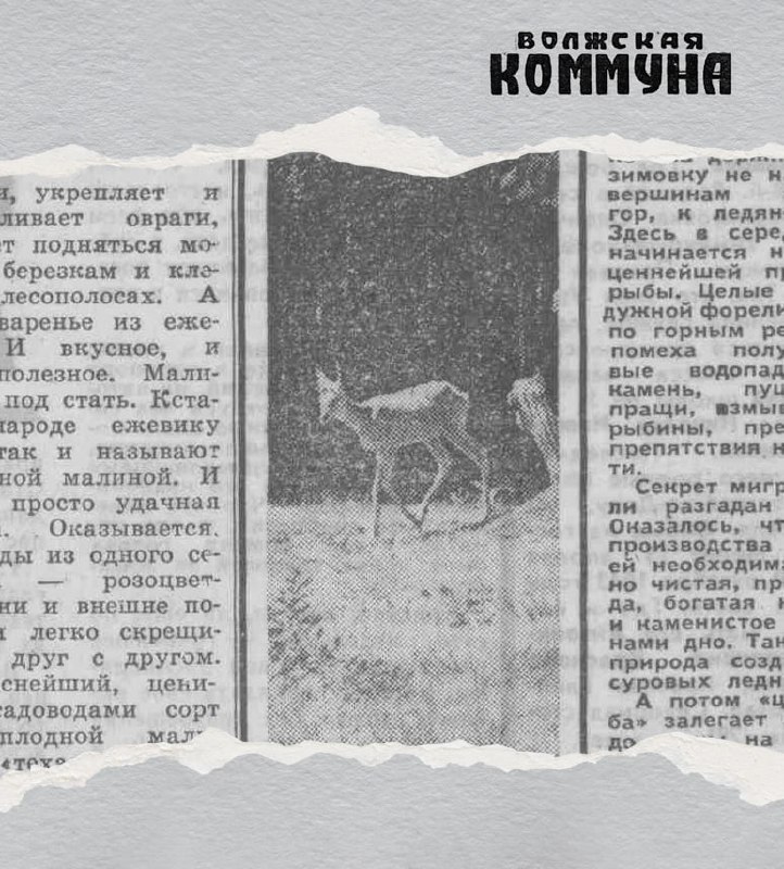 Фото поста канала  Мониторинг 63 Самарская область