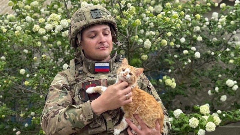 Фото поста канала  Лента новостей Харькова | Z