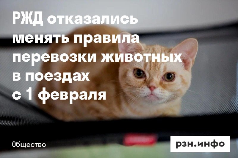 Фото поста канала  Новости Рязани • РЗН.инфо