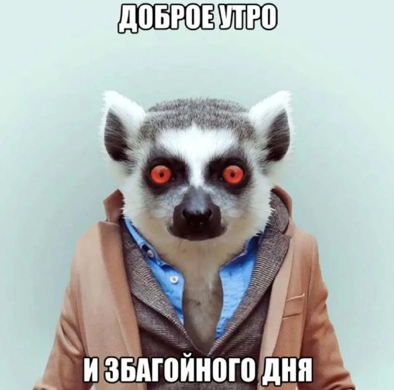 Фото поста канала  ИА ЛАБЫТНАНГИ