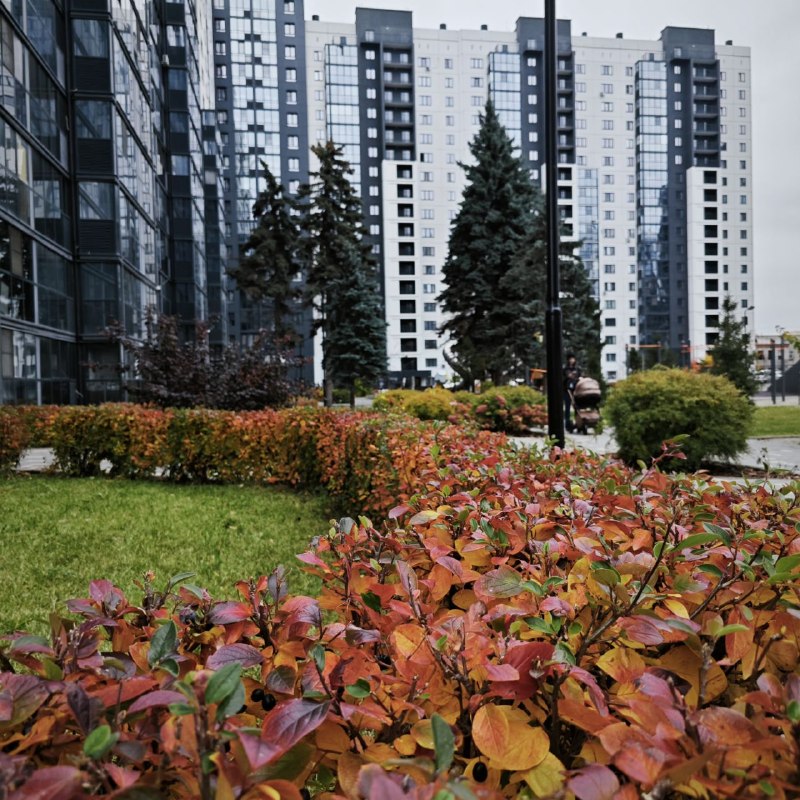 Фото поста канала  Короче, Челяба