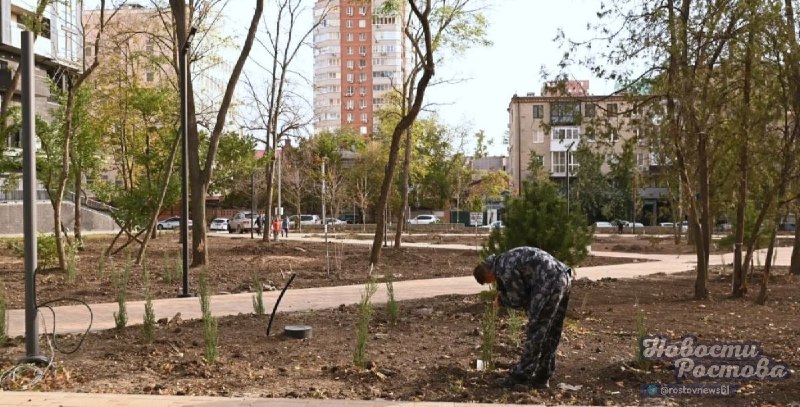 Фото поста канала  Новости Ростова - Rostovnews61
