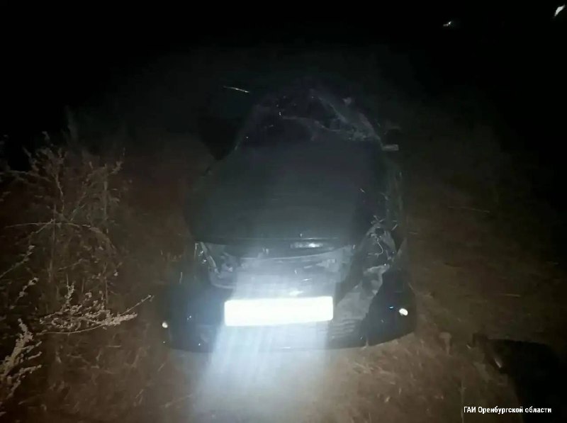 Фото поста канала Новости Оренбурга и Области