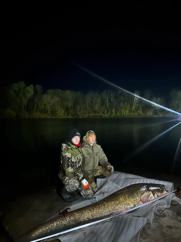 Фото поста канала  Воронеж VRN ️