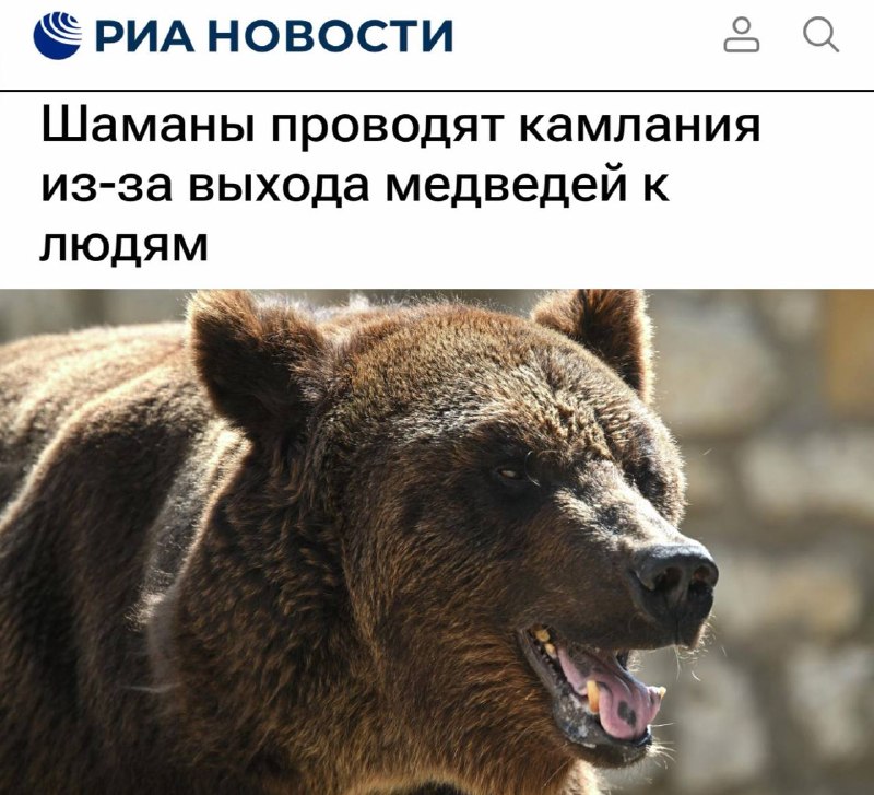 Фото поста канала КАШИН