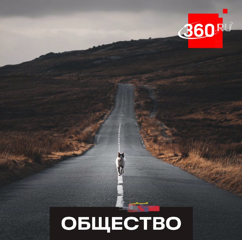 Фото поста канала  360.ru