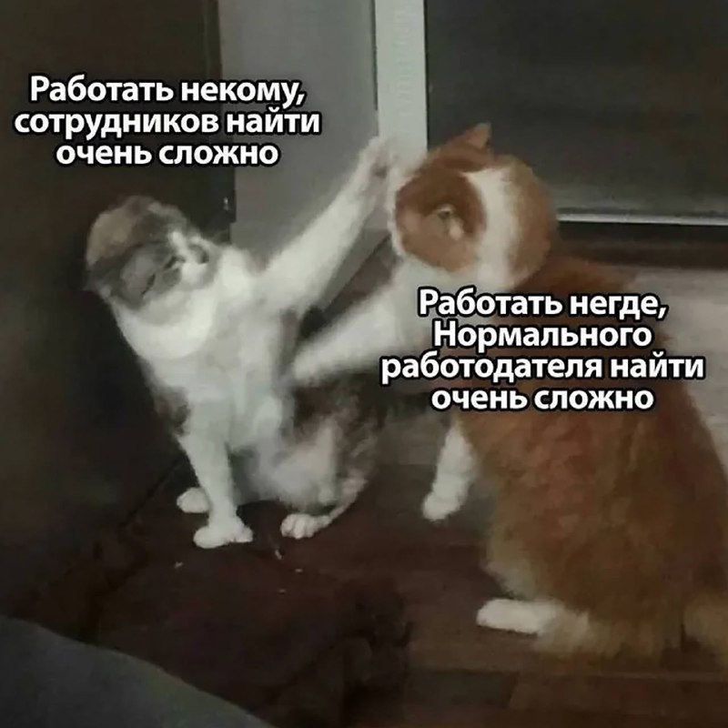 Фото поста канала Простая Экономика