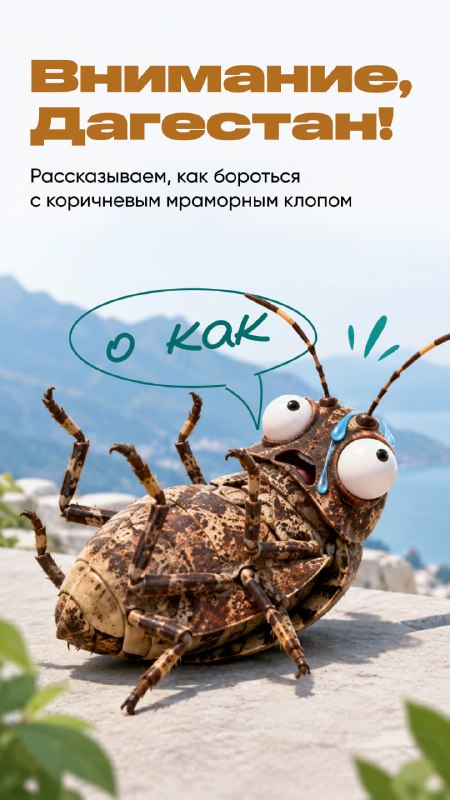 Фото поста канала  Что там у дагестанцев?