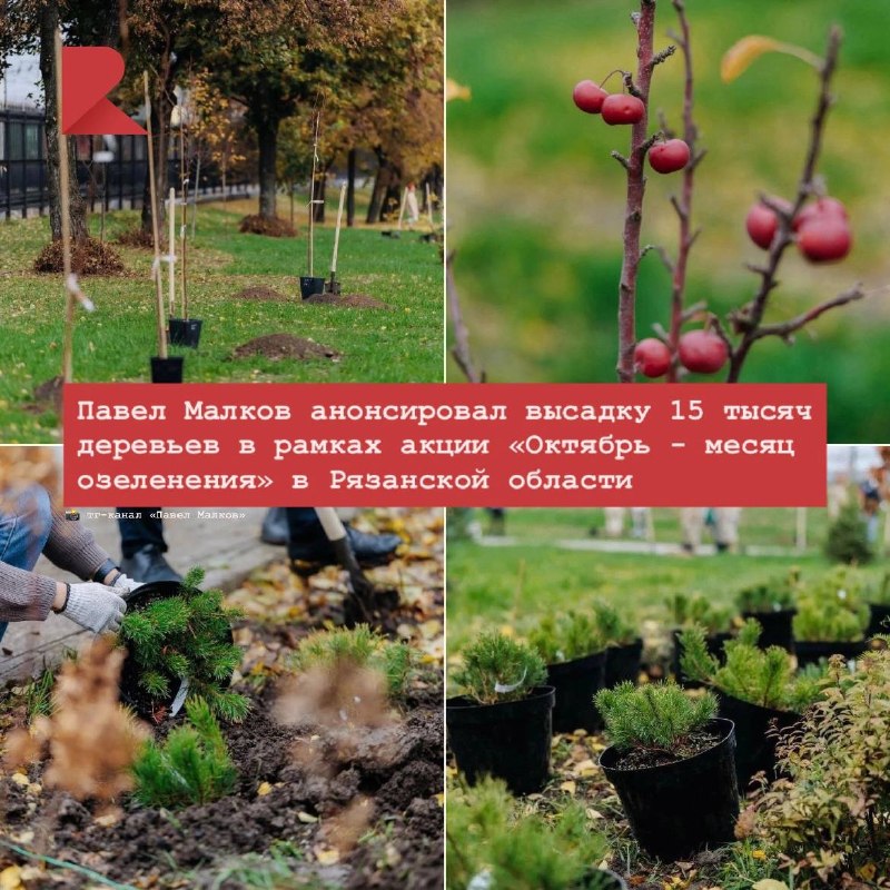 Фото поста канала RZN LIFE | ЖИЗНЬ РЯЗАНИ | РЯЗАНЬ