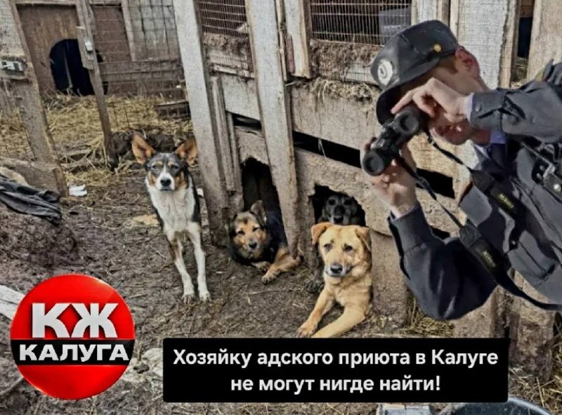 Фото поста канала Калуга Жесть