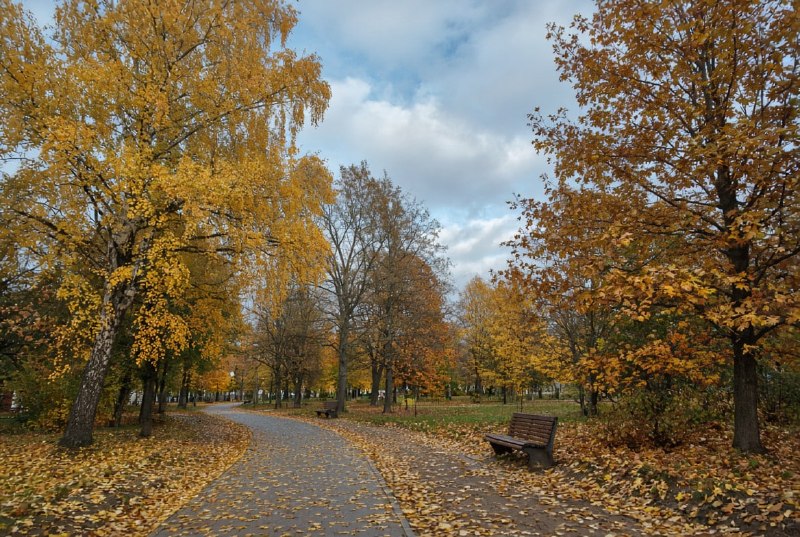Фото поста канала Инсайд Ульяновск