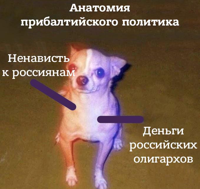 Фото поста канала  Лентач