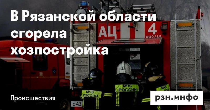 Фото поста канала  Новости Рязани • РЗН.инфо