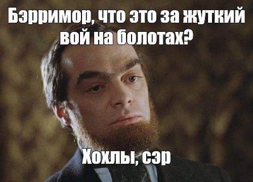 Фото поста канала  Русский котик оптимист