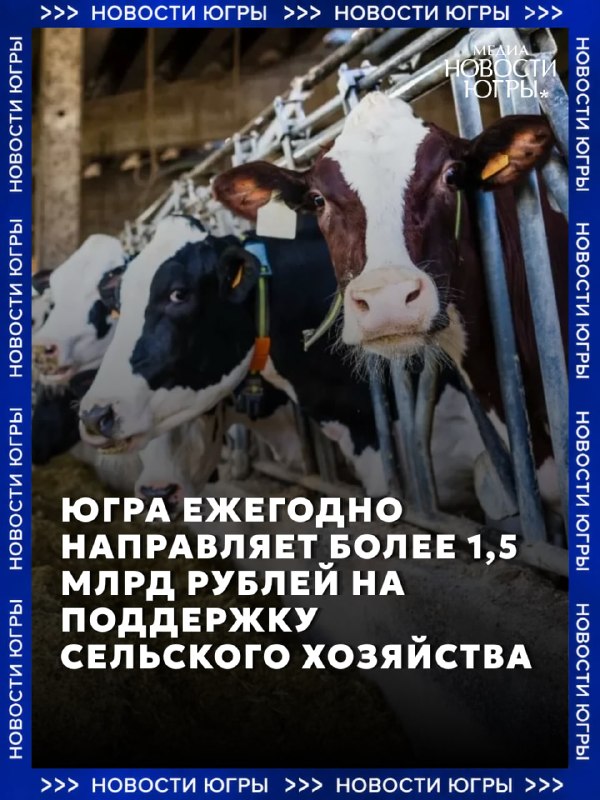 Фото поста канала  Новости Югры