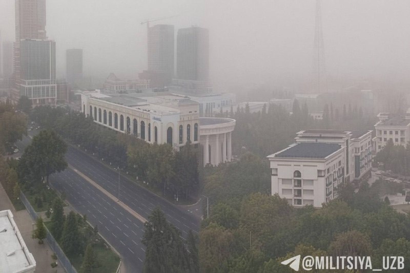 Фото поста канала  MILITSIYA UZB | Расмий канал