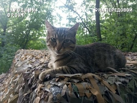 Фото поста канала  АрхДайджест