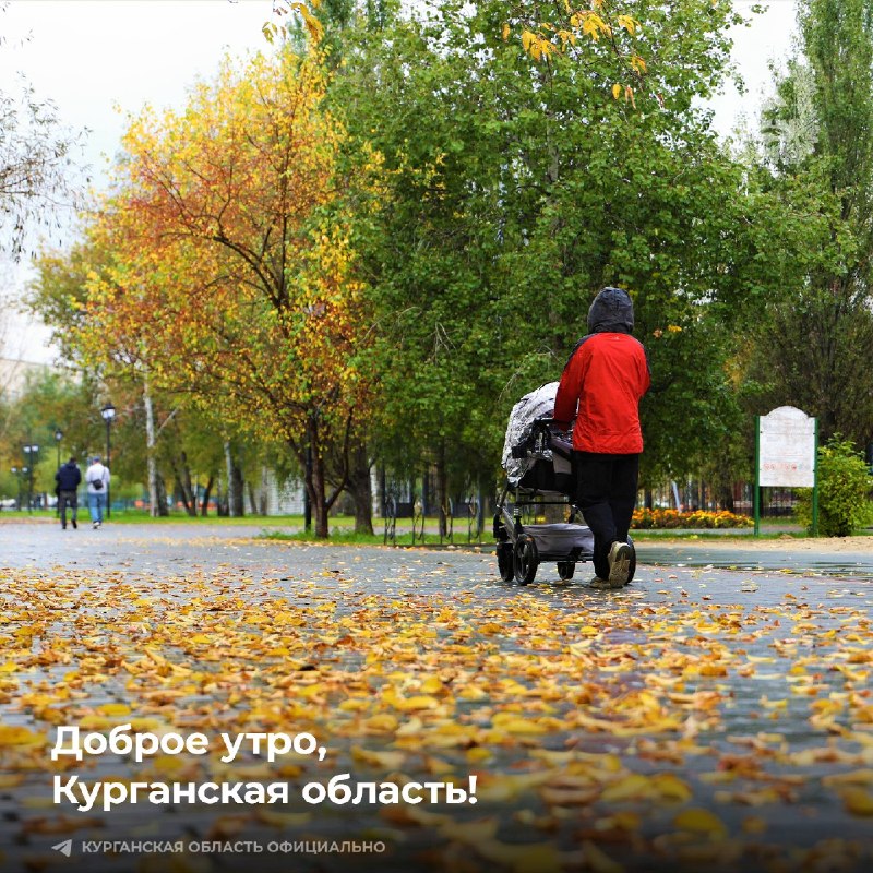 Фото поста канала  Мониторинг 45 Курганская область