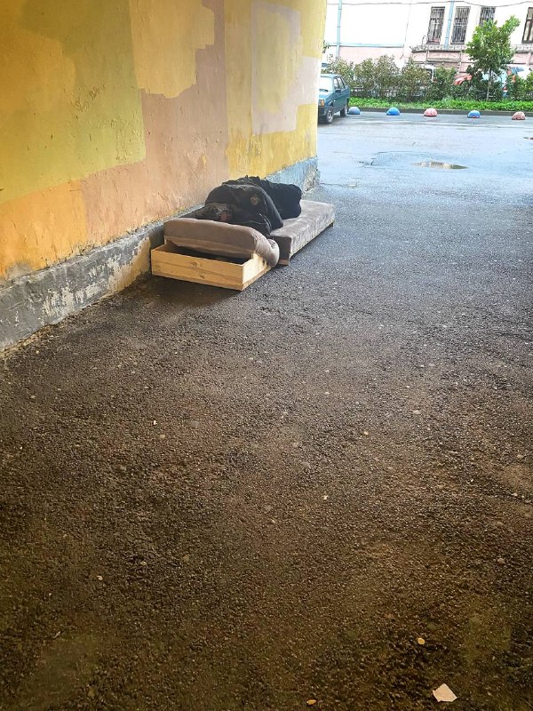 Фото поста канала  Будка