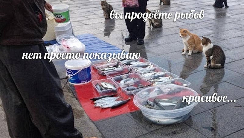 Фото поста канала ТОПОР - Горячие новости