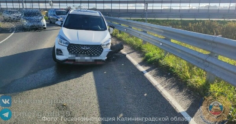 Фото поста канала  Клопс