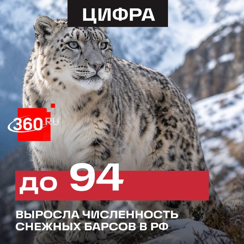 Фото поста канала  360.ru