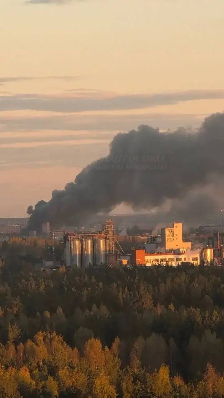 Фото поста канала  Зеленодольск Life | Яшел Үзән| РТ