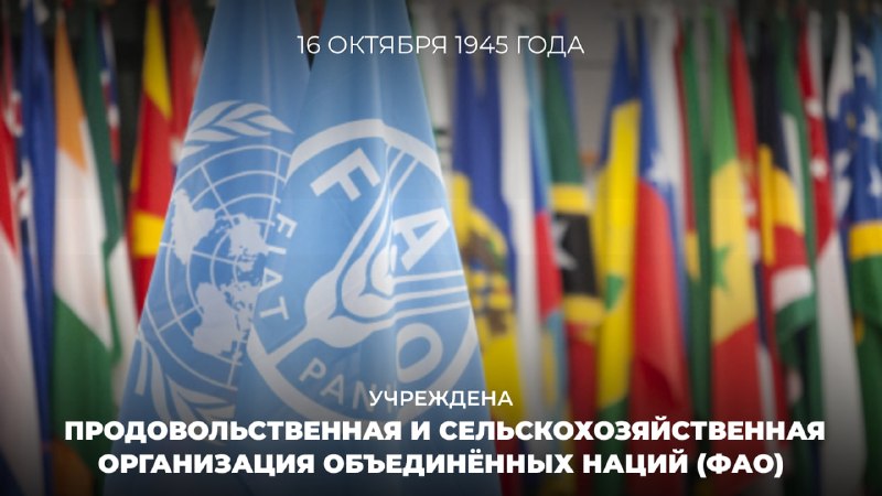 Фото поста канала  МИД России 🇷🇺