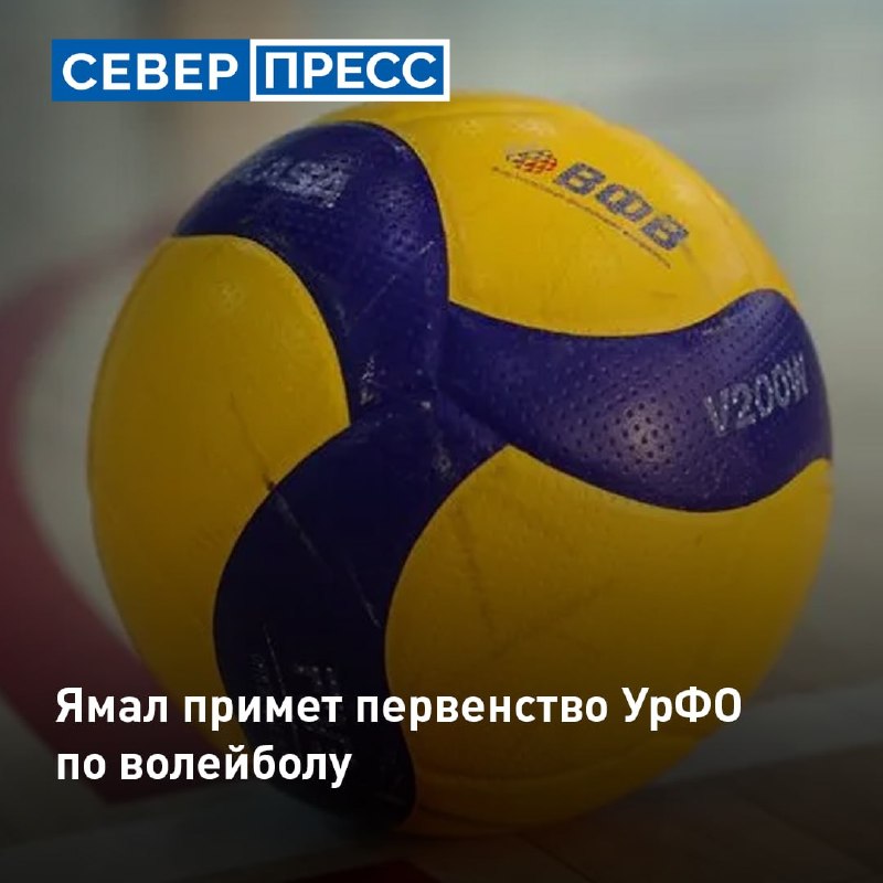 Фото поста канала  Мониторинг 89 Ямало-Ненецкий АО