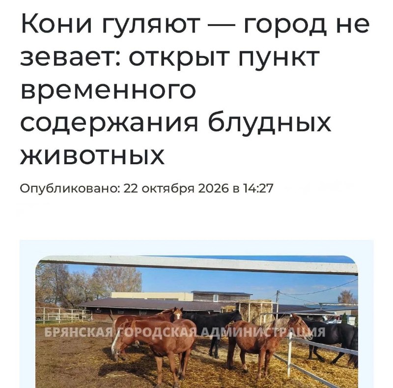 Фото поста канала  Чья Украина?