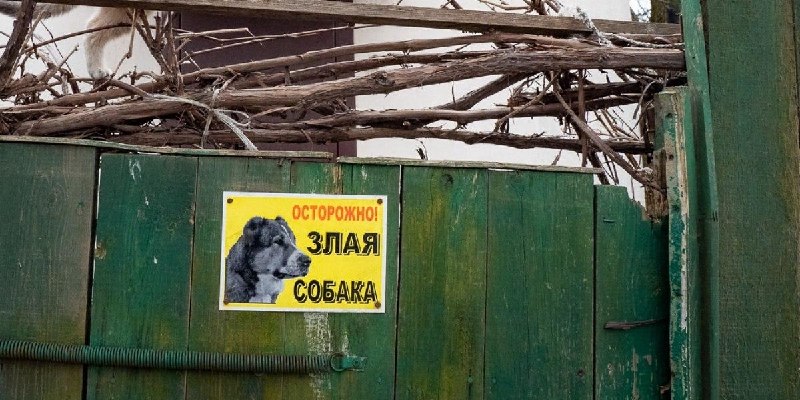Фото поста канала Onliner