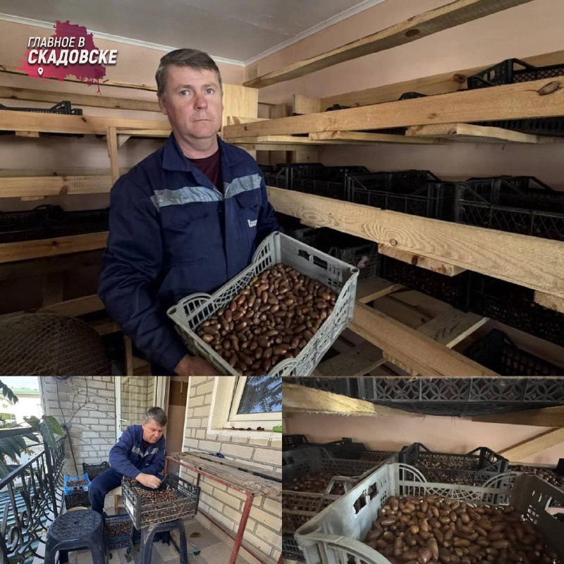 Фото поста канала  Главное в Скадовске