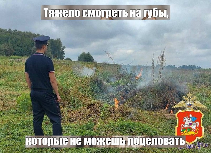 Фото поста канала  Лентач