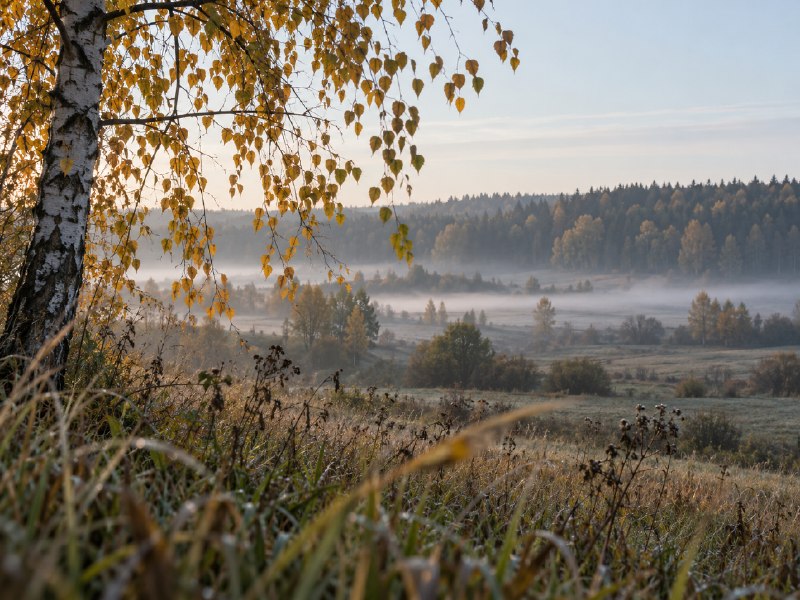 Фото поста канала  Балтийский болтун