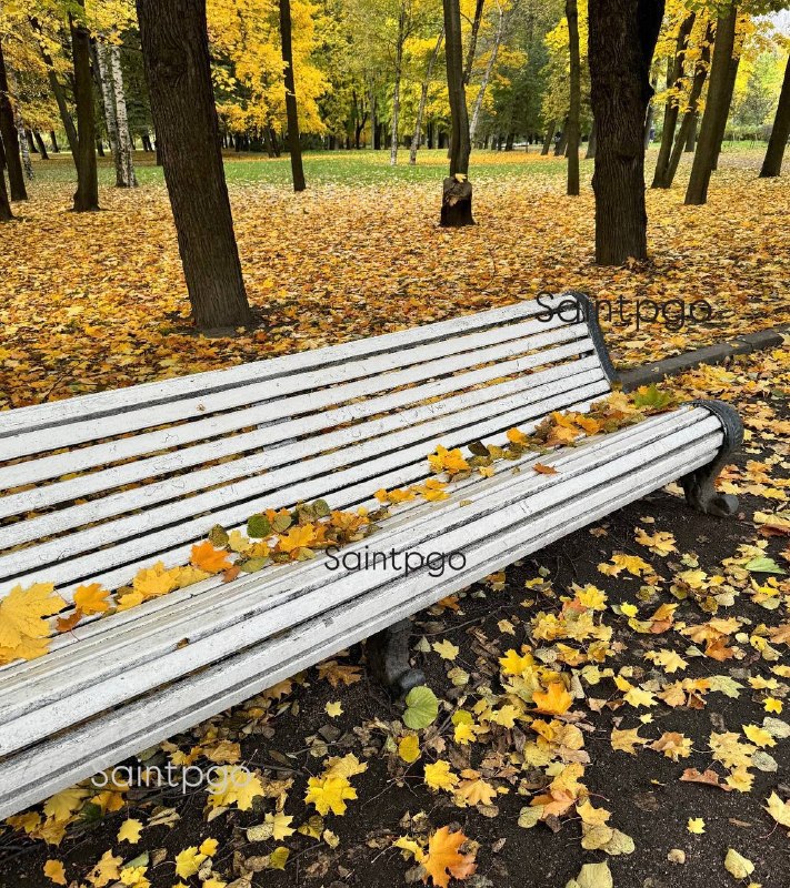 Фото поста канала Санкт-Петербург online | Saintpgo
