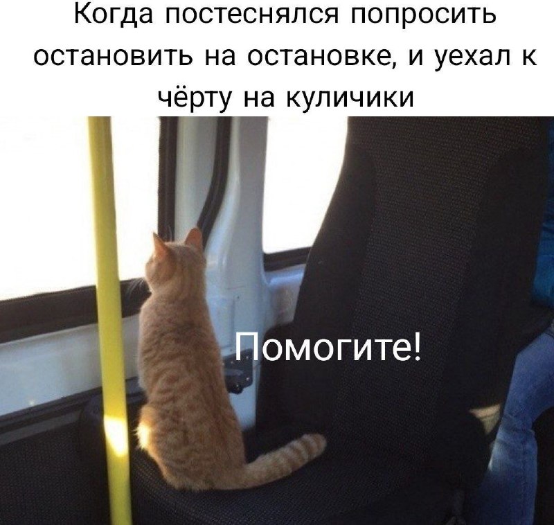 Фото поста канала  Темы Тюмени
