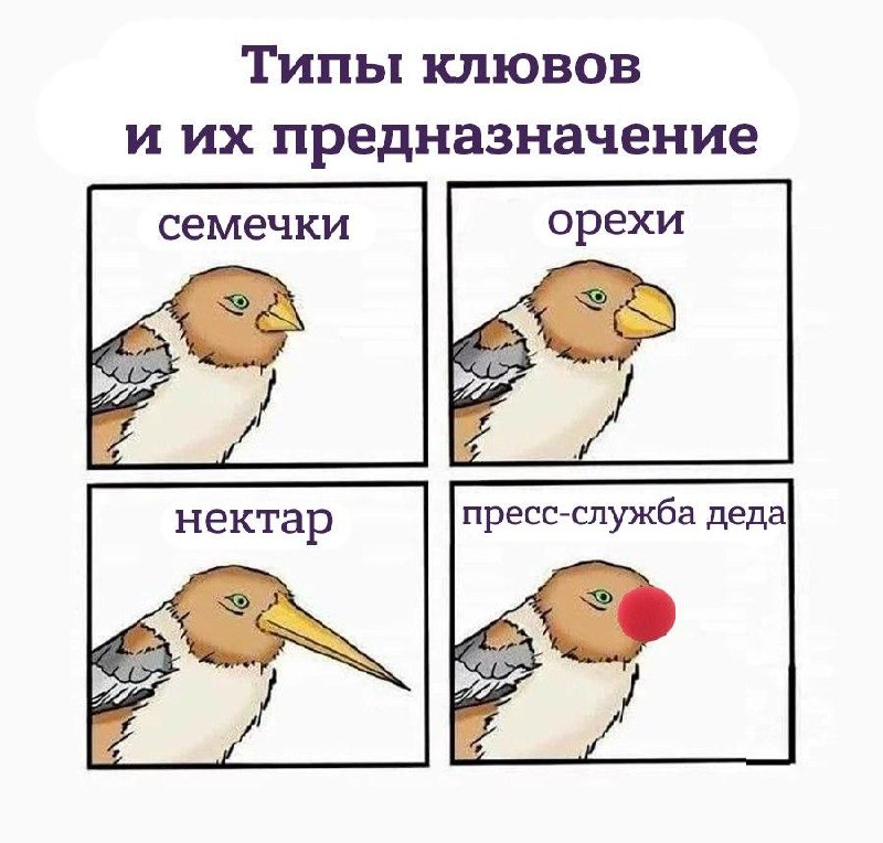 Фото поста канала  Лентач