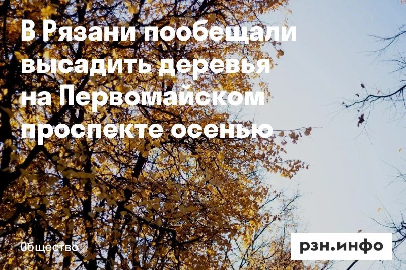 Фото поста канала  Новости Рязани • РЗН.инфо