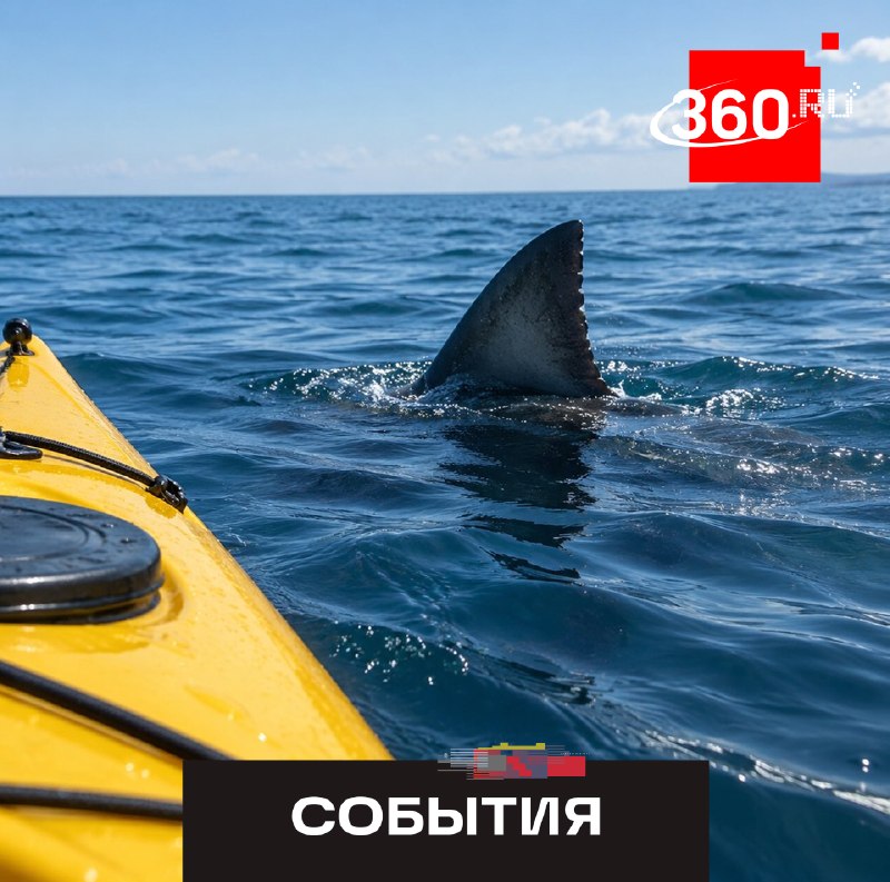 Фото поста канала  360.ru